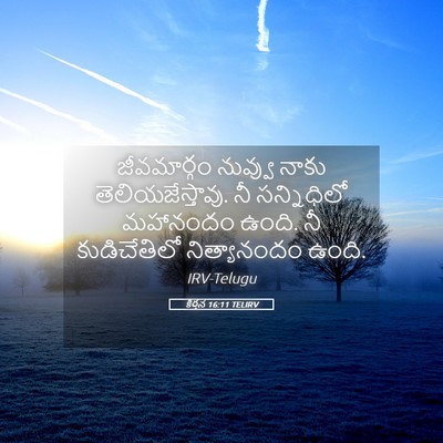 Picture 05 - కీర్తన 16:11 TELIRV - జీవమార్గం నువ్వు - Bible Verse Picture