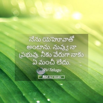Picture 05 - కీర్తన 16:2 TELIRV - నేను యెహోవాతో - Bible Verse Picture