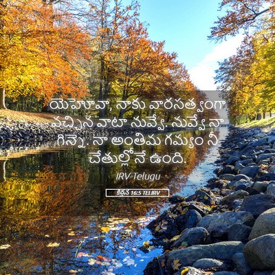Picture 05 - కీర్తన 16:5 TELIRV - యెహోవా, నాకు - Bible Verse Picture