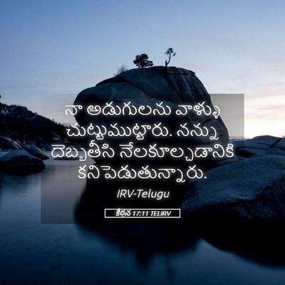 Picture 05 - కీర్తన 17:11 TELIRV - నా అడుగులను - Bible Verse Picture