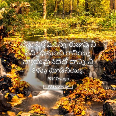 Picture 05 - కీర్తన 17:2 TELIRV - నేను నిర్దోషినన్న - Bible Verse Picture