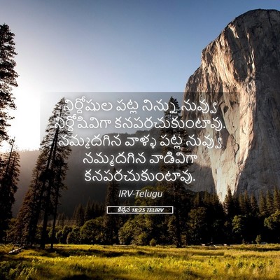 Picture 05 - కీర్తన 18:25 TELIRV - నిర్దోషుల పట్ల - Bible Verse Picture