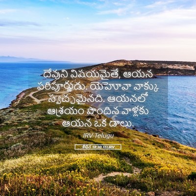 Picture 05 - కీర్తన 18:30 TELIRV - దేవుని విషయమైతే, - Bible Verse Picture