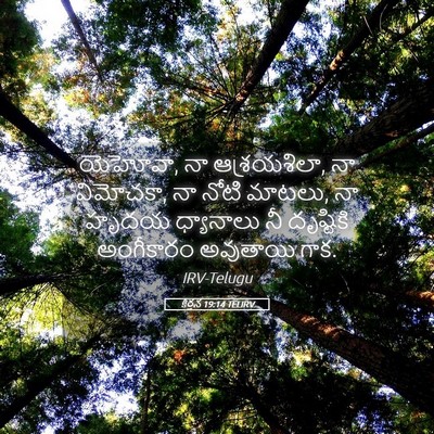 Picture 05 - కీర్తన 19:14 TELIRV - యెహోవా, నా - Bible Verse Picture