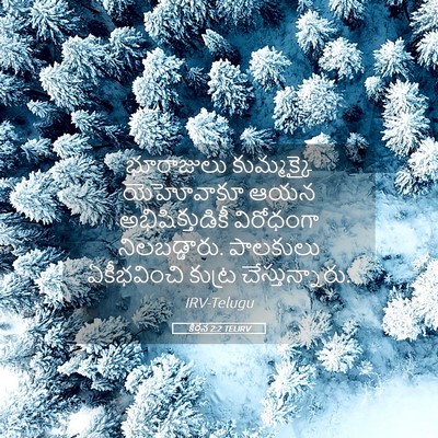 Picture 05 - కీర్తన 2:2 TELIRV - భూరాజులు - Bible Verse Picture