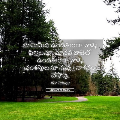 Picture 05 - కీర్తన 21:10 TELIRV - భూమిమీద ఉండకుండా - Bible Verse Picture