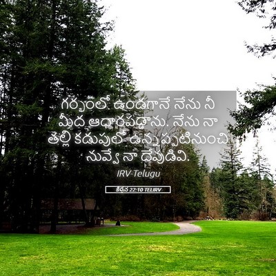 Picture 05 - కీర్తన 22:10 TELIRV - గర్భంలో ఉండగానే - Bible Verse Picture