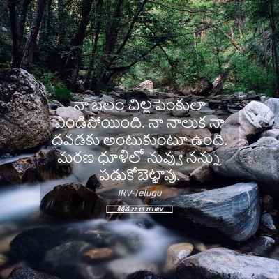 Picture 05 - కీర్తన 22:15 TELIRV - నా బలం - Bible Verse Picture