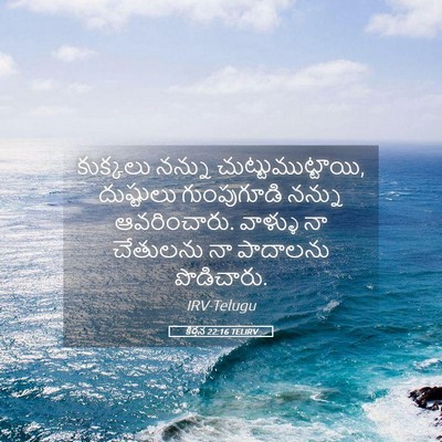 Picture 05 - కీర్తన 22:16 TELIRV - కుక్కలు నన్ను - Bible Verse Picture