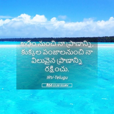 Picture 05 - కీర్తన 22:20 TELIRV - ఖడ్గం నుంచి నా - Bible Verse Picture