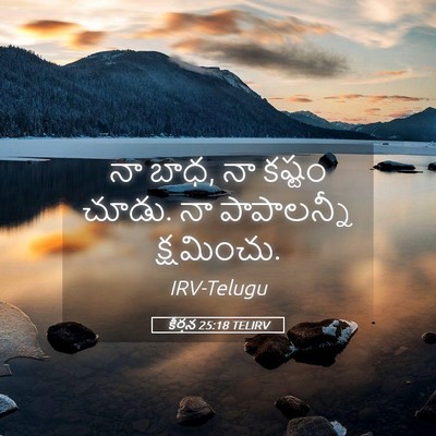 Picture 05 - కీర్తన 25:18 TELIRV - నా బాధ, నా కష్టం - Bible Verse Picture