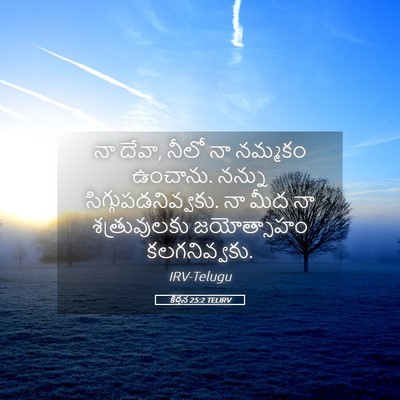 Picture 05 - కీర్తన 25:2 TELIRV - నా దేవా, నీలో నా - Bible Verse Picture