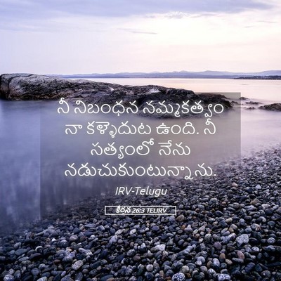 Picture 05 - కీర్తన 26:3 TELIRV - నీ నిబంధన - Bible Verse Picture