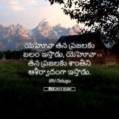Picture 05 - కీర్తన 29:11 TELIRV - యెహోవా తన ప్రజలకు - Bible Verse Picture