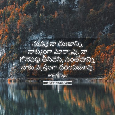 Picture 05 - కీర్తన 30:11 TELIRV - నువ్వు నా - Bible Verse Picture