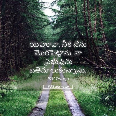 Picture 05 - కీర్తన 30:8 TELIRV - యెహోవా, నీకే నేను - Bible Verse Picture