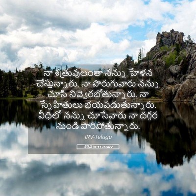 Picture 05 - కీర్తన 31:11 TELIRV - నా శత్రువులంతా - Bible Verse Picture
