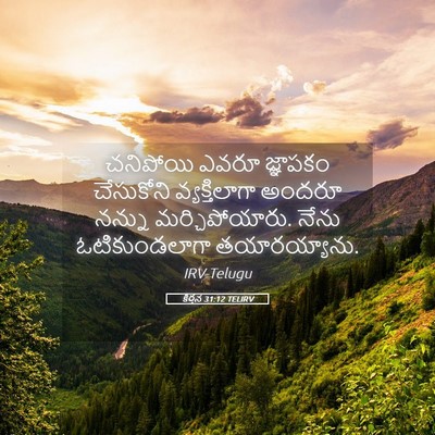 Picture 05 - కీర్తన 31:12 TELIRV - చనిపోయి ఎవరూ - Bible Verse Picture
