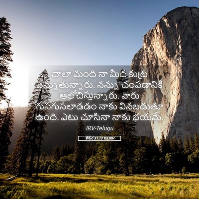 Picture 05 - కీర్తన 31:13 TELIRV - చాలా మంది నా మీద - Bible Verse Picture