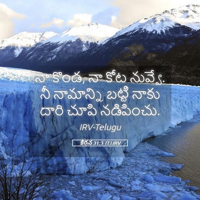 Picture 05 - కీర్తన 31:3 TELIRV - నా కొండ, నా కోట - Bible Verse Picture