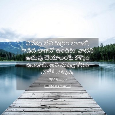 Picture 05 - కీర్తన 32:9 TELIRV - వివేకం లేని - Bible Verse Picture