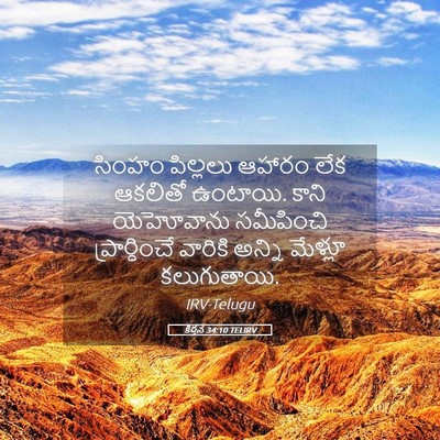 Picture 05 - కీర్తన 34:10 TELIRV - సింహం పిల్లలు - Bible Verse Picture