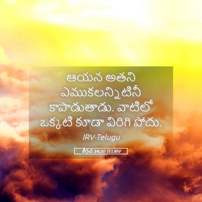 Picture 05 - కీర్తన 34:20 TELIRV - ఆయన అతని - Bible Verse Picture