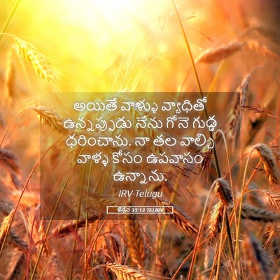 Picture 05 - కీర్తన 35:13 TELIRV - అయితే వాళ్ళు - Bible Verse Picture