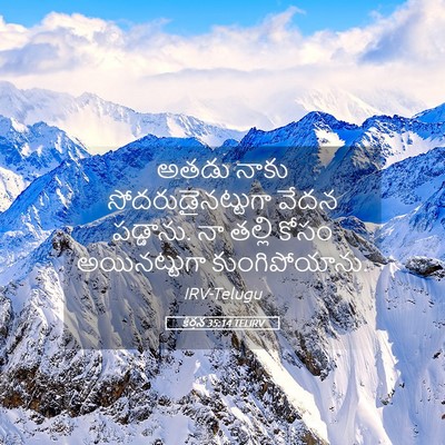 Picture 05 - కీర్తన 35:14 TELIRV - అతడు నాకు - Bible Verse Picture