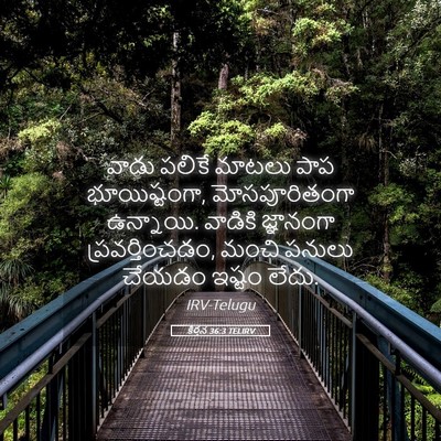 Picture 05 - కీర్తన 36:3 TELIRV - వాడు పలికే మాటలు - Bible Verse Picture