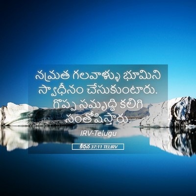 Picture 05 - కీర్తన 37:11 TELIRV - నమ్రత గలవాళ్ళు - Bible Verse Picture