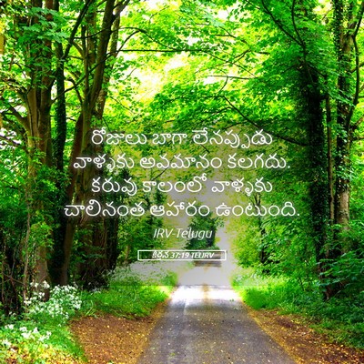 Picture 05 - కీర్తన 37:19 TELIRV - రోజులు బాగా - Bible Verse Picture