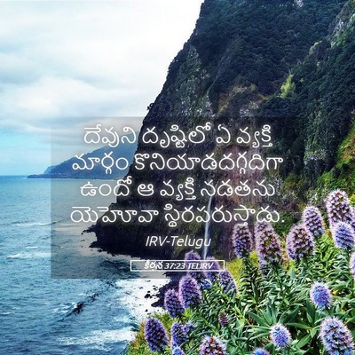 Picture 05 - కీర్తన 37:23 TELIRV - దేవుని దృష్టిలో ఏ - Bible Verse Picture