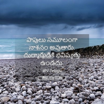 Picture 05 - కీర్తన 37:38 TELIRV - పాపులు సమూలంగా - Bible Verse Picture
