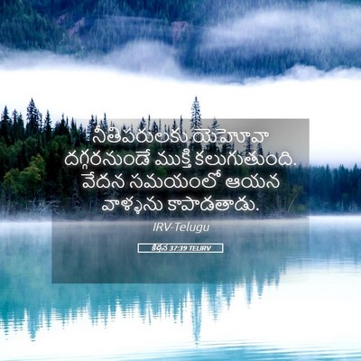 Picture 05 - కీర్తన 37:39 TELIRV - నీతిపరులకు యెహోవా - Bible Verse Picture