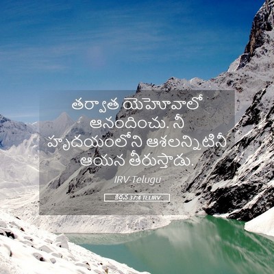 Picture 05 - కీర్తన 37:4 TELIRV - తర్వాత యెహోవాలో - Bible Verse Picture