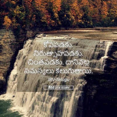 Picture 05 - కీర్తన 37:8 TELIRV - కోపపడకు. - Bible Verse Picture