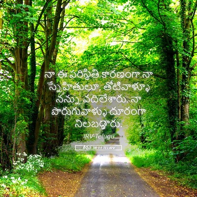 Picture 05 - కీర్తన 38:11 TELIRV - నా ఈ పరిస్థితి - Bible Verse Picture