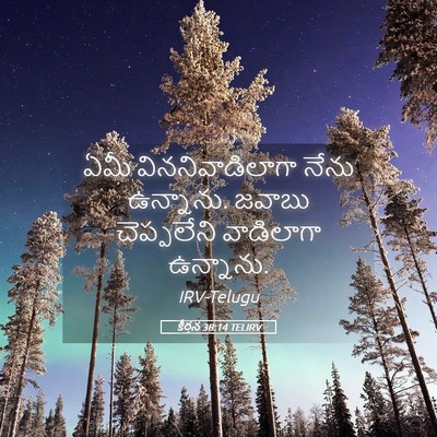 Picture 05 - కీర్తన 38:14 TELIRV - ఏమీ విననివాడిలాగా - Bible Verse Picture