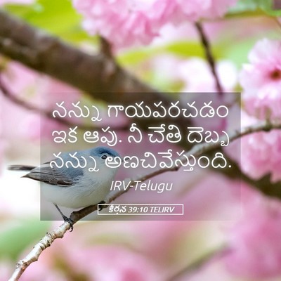 Picture 05 - కీర్తన 39:10 TELIRV - నన్ను గాయపరచడం ఇక - Bible Verse Picture