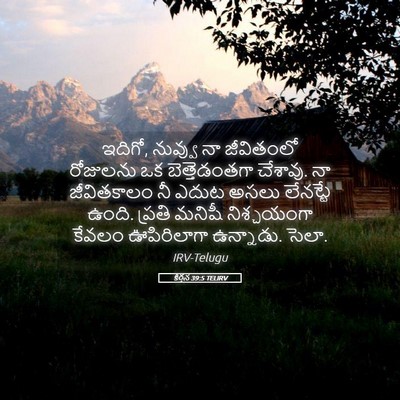 Picture 05 - కీర్తన 39:5 TELIRV - ఇదిగో, నువ్వు నా - Bible Verse Picture