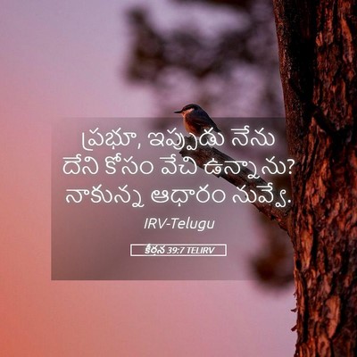 Picture 05 - కీర్తన 39:7 TELIRV - ప్రభూ, ఇప్పుడు - Bible Verse Picture