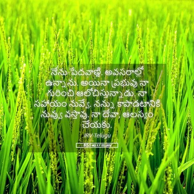 Picture 05 - కీర్తన 40:17 TELIRV - నేను పేదవాణ్ణి. - Bible Verse Picture