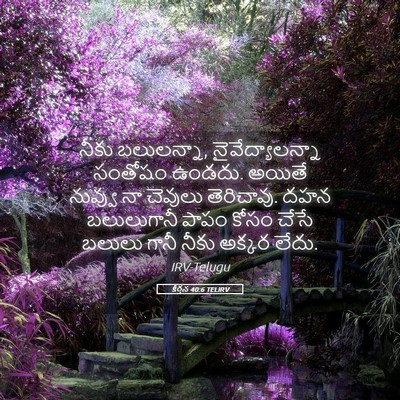 Picture 05 - కీర్తన 40:6 TELIRV - నీకు బలులన్నా, - Bible Verse Picture