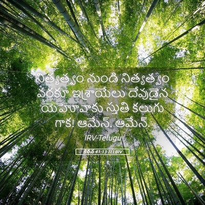 Picture 05 - కీర్తన 41:13 TELIRV - నిత్యత్వం నుండి - Bible Verse Picture
