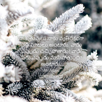 Picture 05 - కీర్తన 41:5 TELIRV - నా శత్రువులు నాకు - Bible Verse Picture