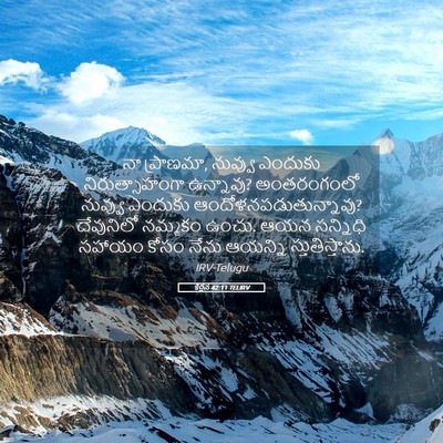 Picture 05 - కీర్తన 42:11 TELIRV - నా ప్రాణమా, నువ్వు - Bible Verse Picture