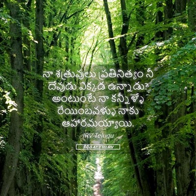 Picture 05 - కీర్తన 42:3 TELIRV - నా శత్రువులు - Bible Verse Picture