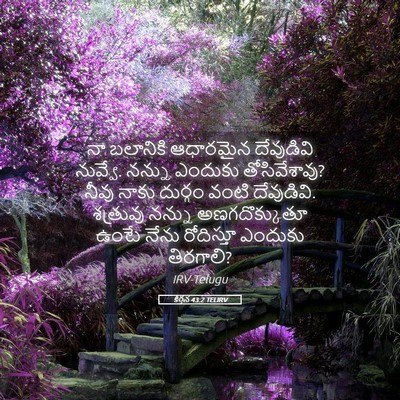Picture 05 - కీర్తన 43:2 TELIRV - నా బలానికి - Bible Verse Picture