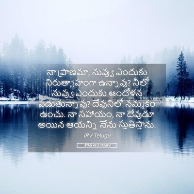Picture 05 - కీర్తన 43:5 TELIRV - నా ప్రాణమా, నువ్వు - Bible Verse Picture